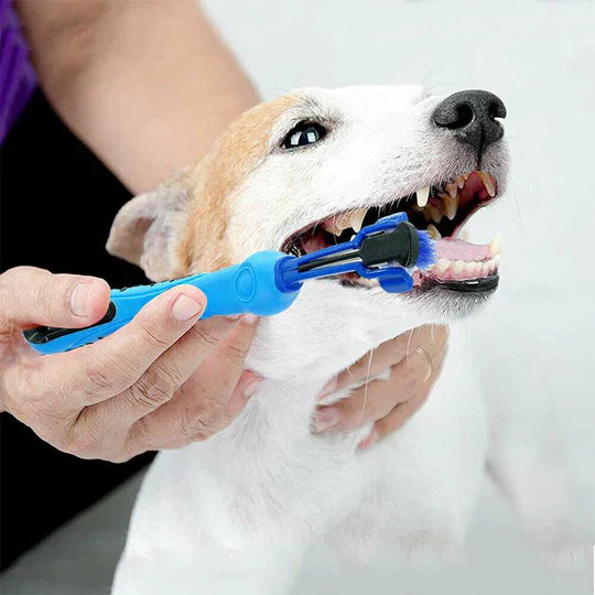 "3-Kopf-Hundezahnbürste mit ergonomischem Design und dreiseitigen Borsten für umfassende Zahnreinigung bei Hunden"
