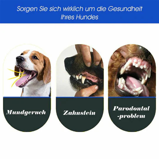 "3-Kopf-Hundezahnbürste mit ergonomischem Design und dreiseitigen Borsten für umfassende Zahnreinigung bei Hunden"