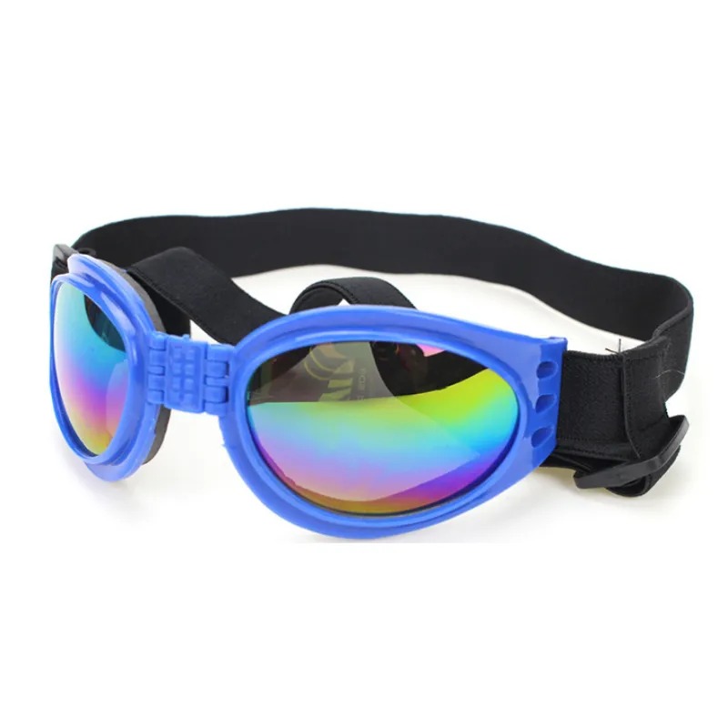 "Blaue UV-Schutzbrille für Hunde, modisch und funktional, schützt vor Sonne und Wind, ideal für Outdoor-Aktivitäten."