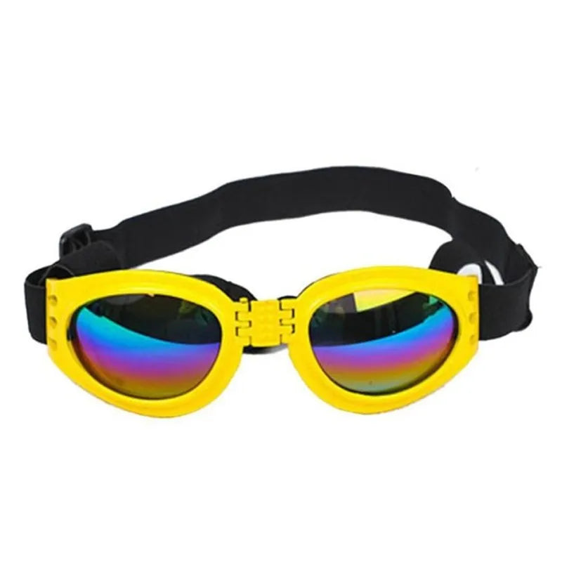 "Blaue UV-Schutzbrille für Hunde, modisch und funktional, schützt vor Sonne und Wind, ideal für Outdoor-Aktivitäten."