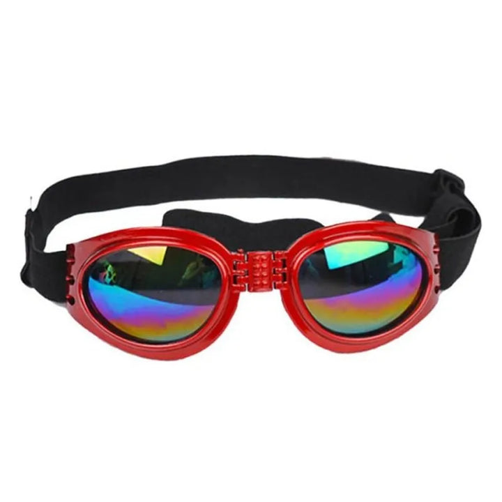 "Blaue UV-Schutzbrille für Hunde, modisch und funktional, schützt vor Sonne und Wind, ideal für Outdoor-Aktivitäten."