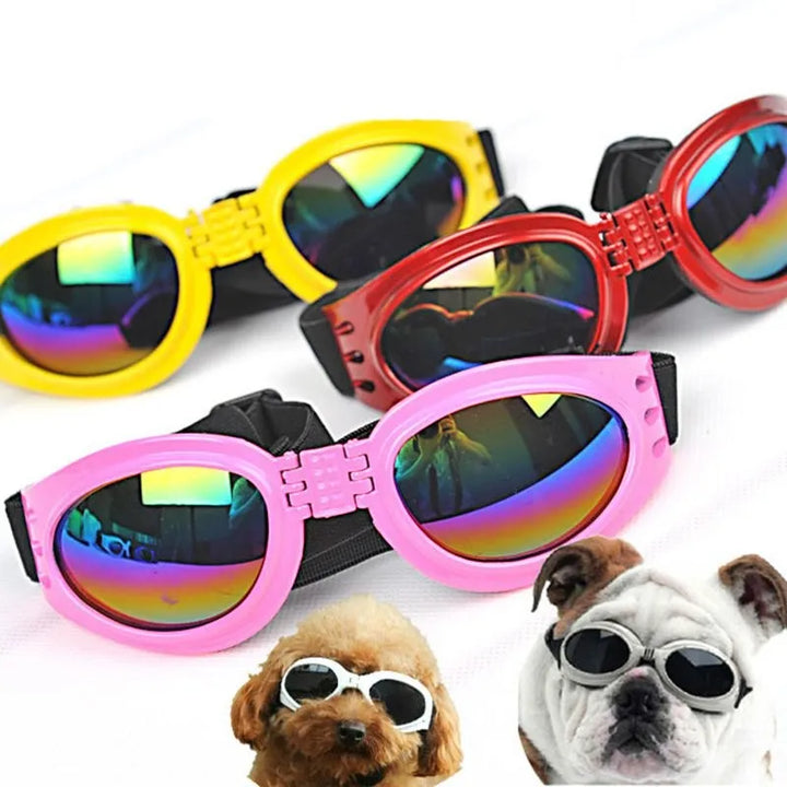 "Blaue UV-Schutzbrille für Hunde, modisch und funktional, schützt vor Sonne und Wind, ideal für Outdoor-Aktivitäten."