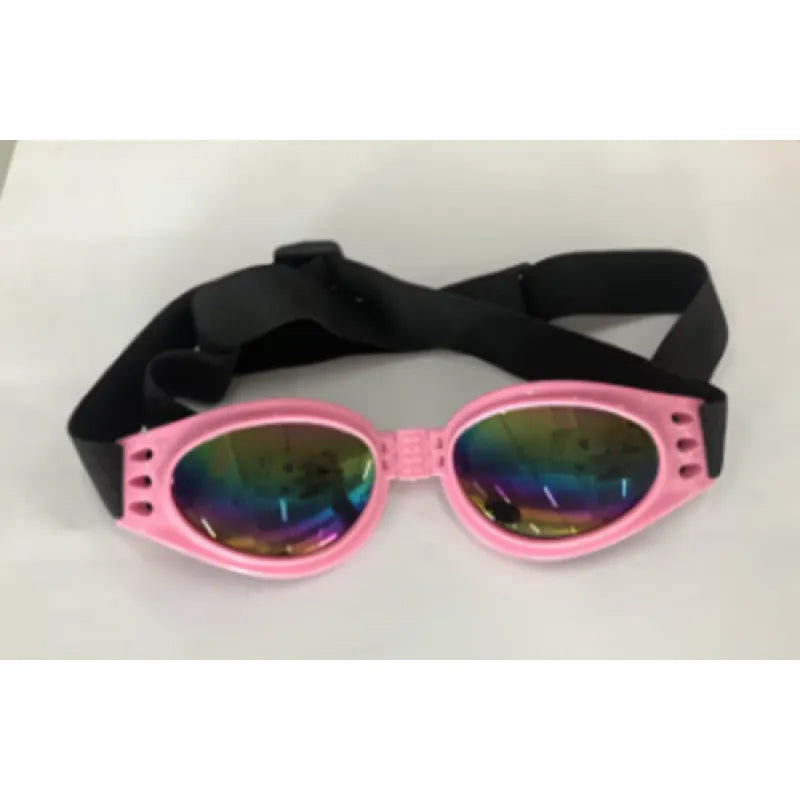 "Blaue UV-Schutzbrille für Hunde, modisch und funktional, schützt vor Sonne und Wind, ideal für Outdoor-Aktivitäten."