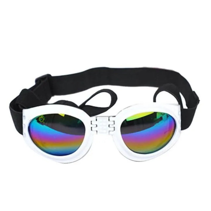 "Blaue UV-Schutzbrille für Hunde, modisch und funktional, schützt vor Sonne und Wind, ideal für Outdoor-Aktivitäten."