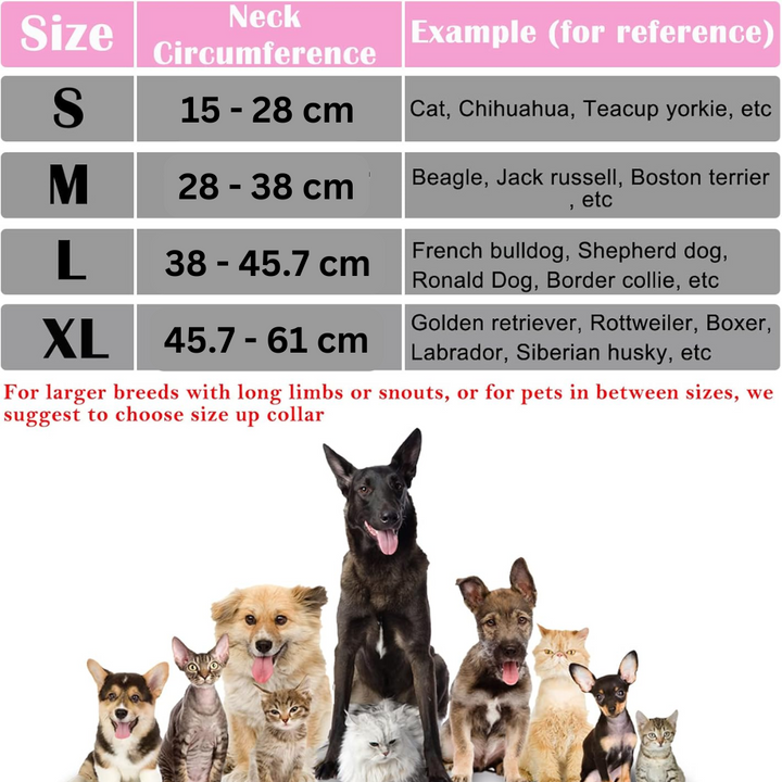 Blauer, aufblasbarer Hundekragen vorne, verstellbar, weich und donutförmig für stressfreie Genesung von Haustieren.