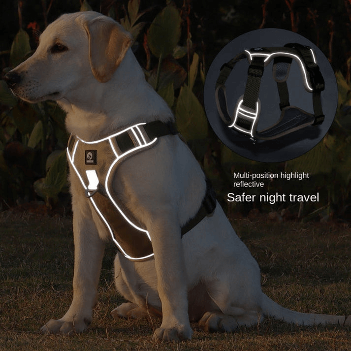 Anti-Zieh Hundegeschirr mit Reflexstreifen