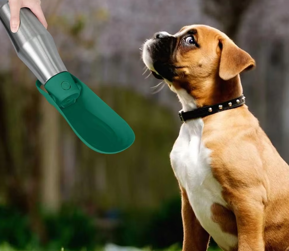 Edelstahl-Trinkflasche für Hunde, tragbarer Wasserspender mit integriertem faltbarem Napf, ideal für unterwegs.