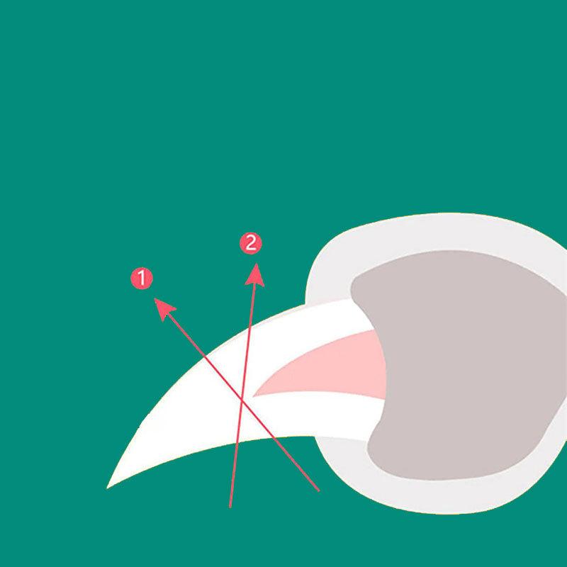 "Effizienter Hundekrallenknipser mit Schnellsensor und ergonomischem Griff für sicheres und präzises Krallenschneiden."