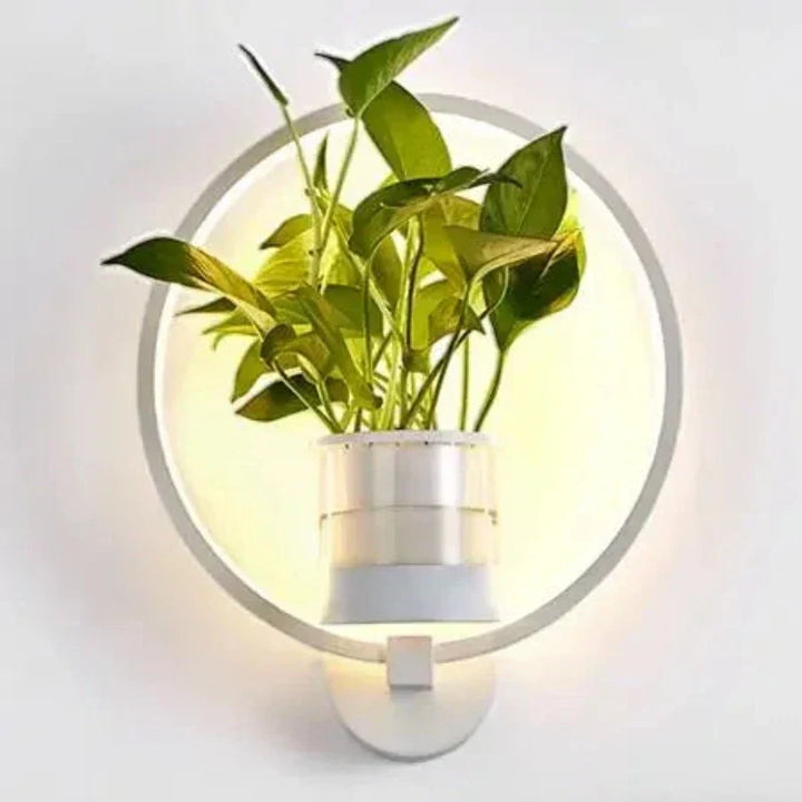 "Elegante LED-Pflanzen-Wandlampe mit Pflanzenhalter, modernes Design, warmes Licht, platzsparend, natürlicher Wohnstil"
