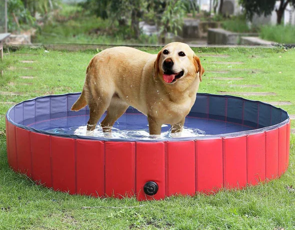 "Faltbarer Hunde-Pool, gefüllt mit Wasser, im Garten; bietet Abkühlung für Hunde an heißen Tagen, strapazierfähig und platzsp