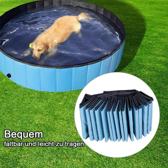 "Faltbarer Hunde-Pool, gefüllt mit Wasser, im Garten; bietet Abkühlung für Hunde an heißen Tagen, strapazierfähig und platzsp
