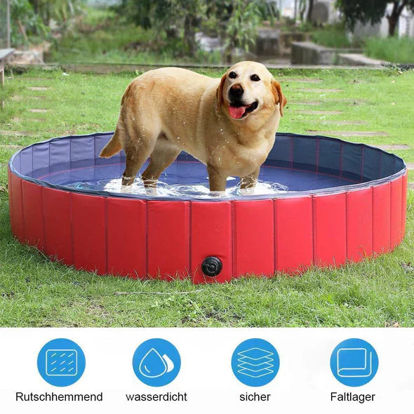 "Faltbarer Hunde-Pool, gefüllt mit Wasser, im Garten; bietet Abkühlung für Hunde an heißen Tagen, strapazierfähig und platzsp