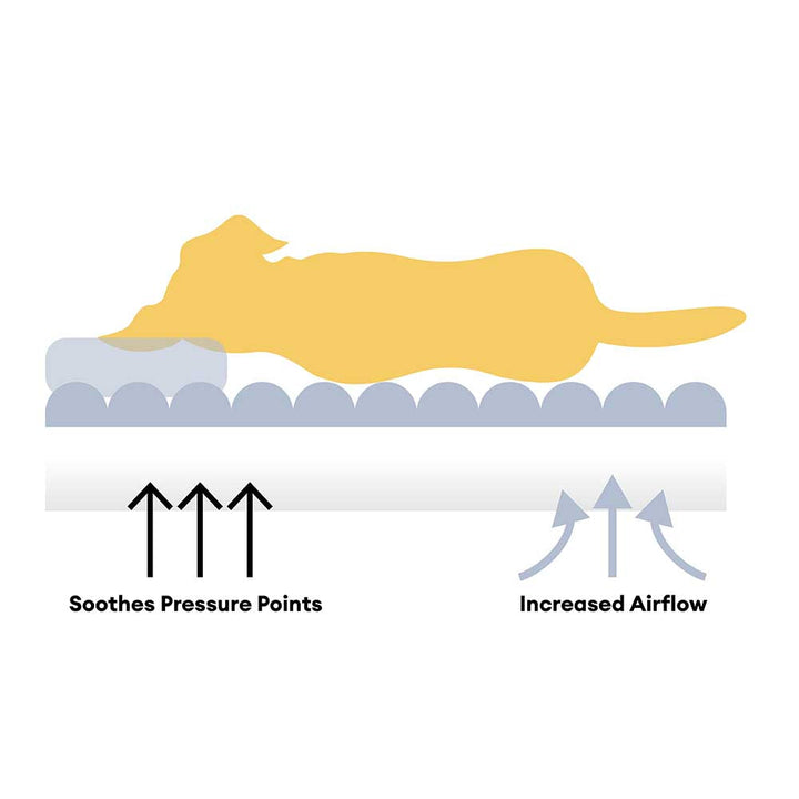 Flauschiges, großes orthopädisches Nackenrollenbett für Mensch und Hund, ergonomisch, aus weichem Plüschmaterial.