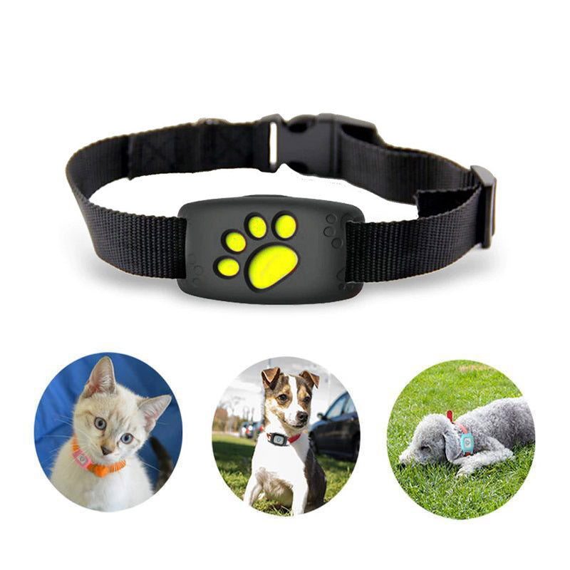 GPS-Halsband für Katzen in Pink, wasserdicht, langlebig, leichtes Design, präzise Verfolgung mit GPS-Tracker.