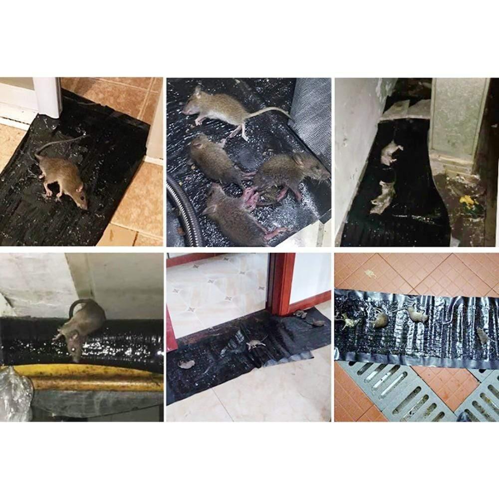 Große schwarze Klebefalle für Ratten und Mäuse, wasserdicht, ungiftig, mit hoher Haftkraft, sicher für Kinder und Haustiere.