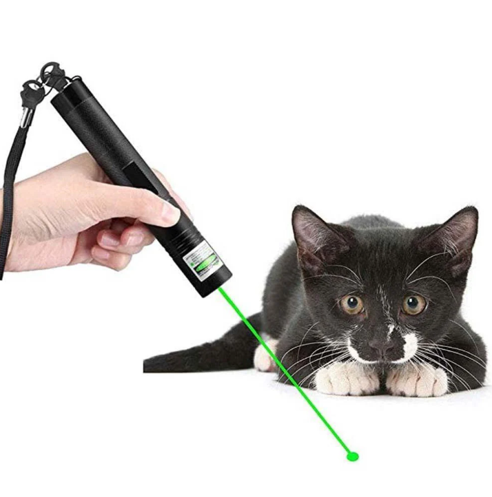 Grüner Hochleistungs-Laserpointer mit robustem Aluminiumgehäuse, ideal für präzise Präsentationen und outdoor Anwendungen.