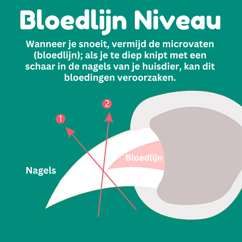 "Hund Nagelknipser mit Schnell-Sensoren, ergonomisch, Edelstahlklingen, sicher, schmerzfrei, komfortabler Griff."