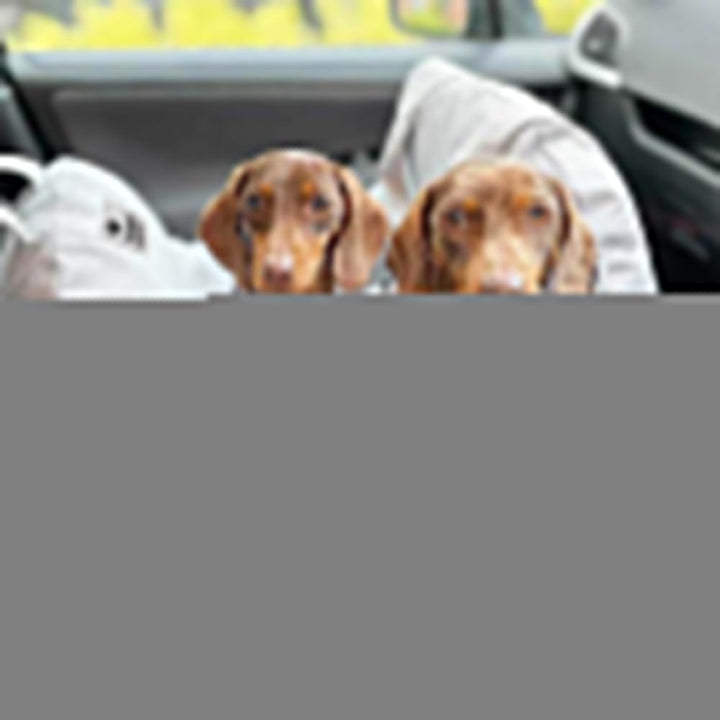 "Hunde Autositzbett Grau Einzelsitz, weich gepolstert, abnehmbar, stabilisierende Sicherheitsleinen für sicheres Reisen"