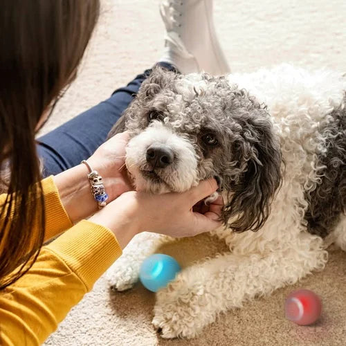 "Interaktive Power Ball Kugel für Haustiere, selbstbeweglich, grün, sicheres Spielzeug gegen Bisse und Kratzer"