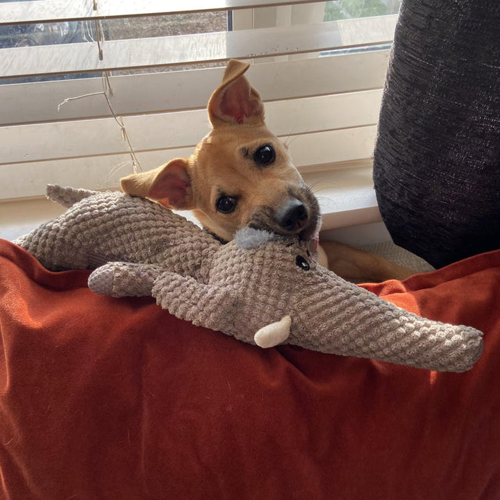 "Langlebiges Hundespielzeug aus Stoff, Elefantendesign, robust für starke Kauer, fördert Zahnpflege, ideal für alle Hunde."