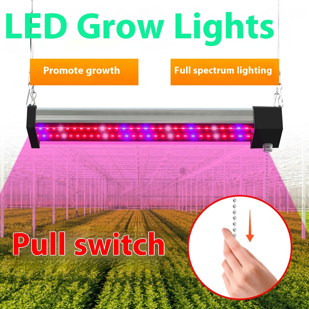 LED Pflanzenlampe mit Vollspektrum-Beleuchtung, energiesparende Technologie, ideal für Zimmerpflanzen, mit Zugschalter.