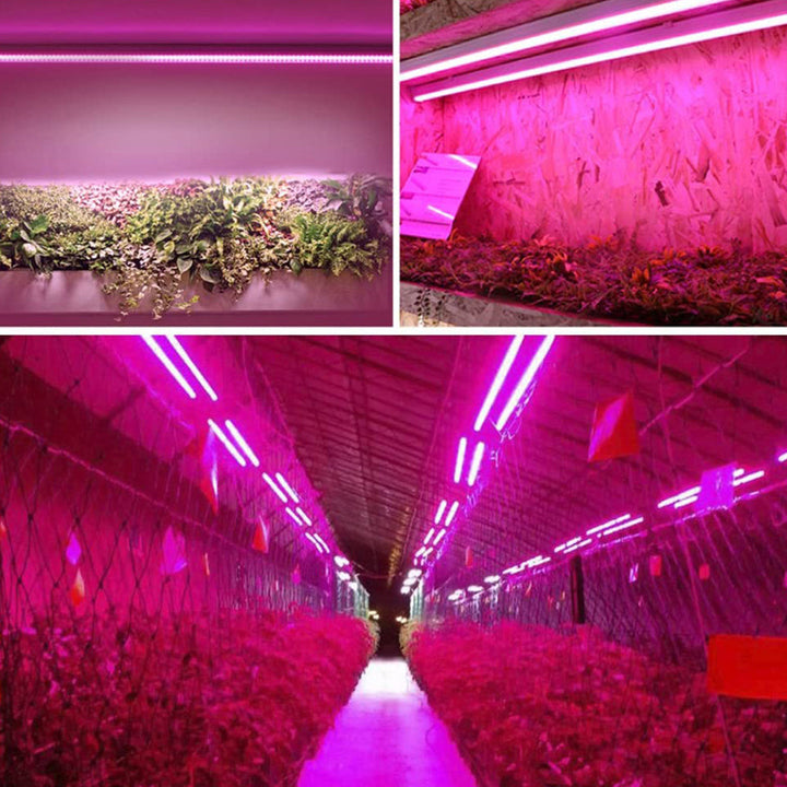 LED Pflanzenlampe mit Vollspektrum-Beleuchtung, energiesparende Technologie, ideal für Zimmerpflanzen, mit Zugschalter.
