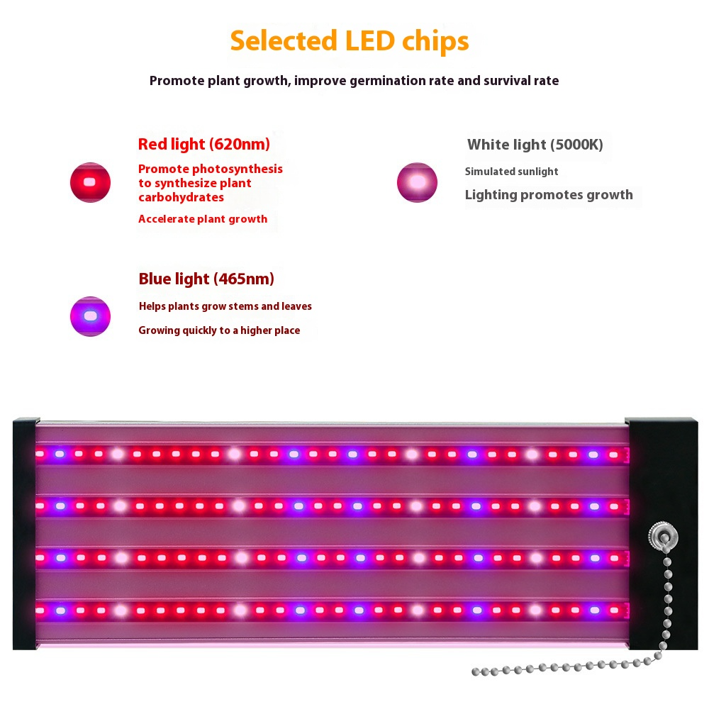 LED Pflanzenlampe mit Vollspektrum-Beleuchtung, energiesparende Technologie, ideal für Zimmerpflanzen, mit Zugschalter.