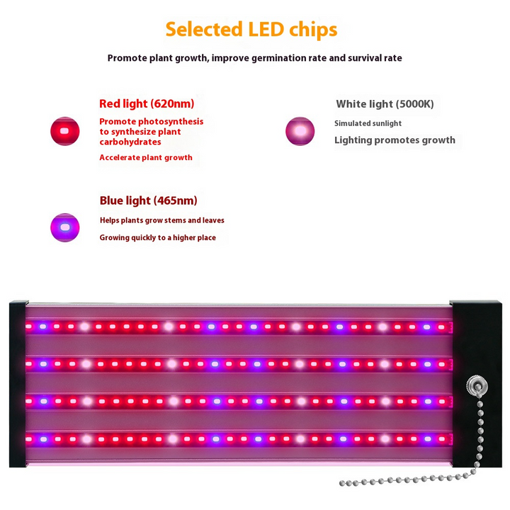 LED Pflanzenlampe mit Vollspektrum-Beleuchtung, energiesparende Technologie, ideal für Zimmerpflanzen, mit Zugschalter.
