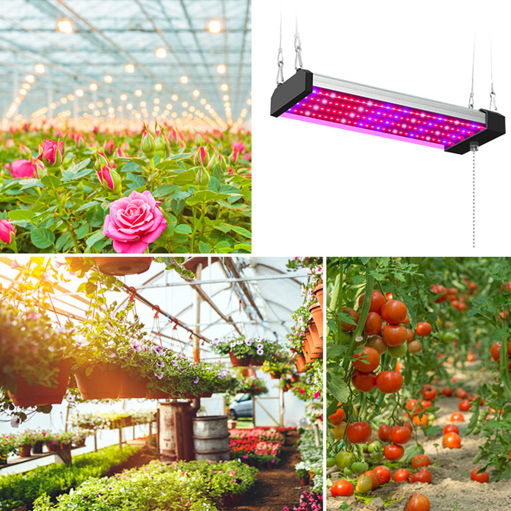 LED Pflanzenlampe mit Vollspektrum-Beleuchtung, energiesparende Technologie, ideal für Zimmerpflanzen, mit Zugschalter.