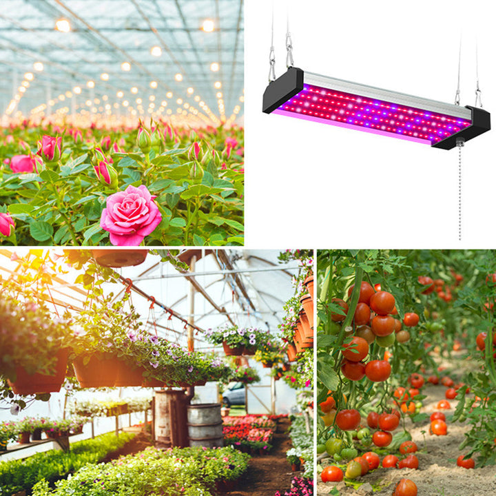 LED Pflanzenlampe mit Vollspektrum-Beleuchtung, energiesparende Technologie, ideal für Zimmerpflanzen, mit Zugschalter.