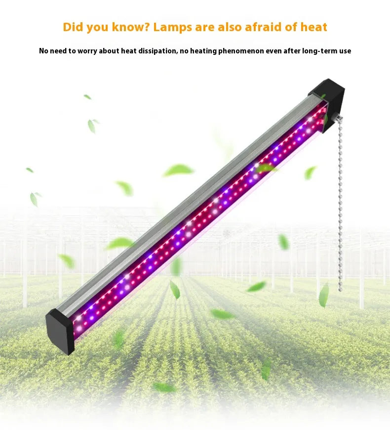 LED Pflanzenlampe mit Vollspektrum-Beleuchtung, energiesparende Technologie, ideal für Zimmerpflanzen, mit Zugschalter.