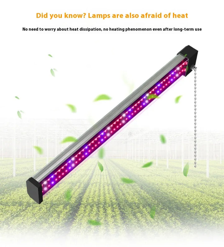 LED Pflanzenlampe mit Vollspektrum-Beleuchtung, energiesparende Technologie, ideal für Zimmerpflanzen, mit Zugschalter.