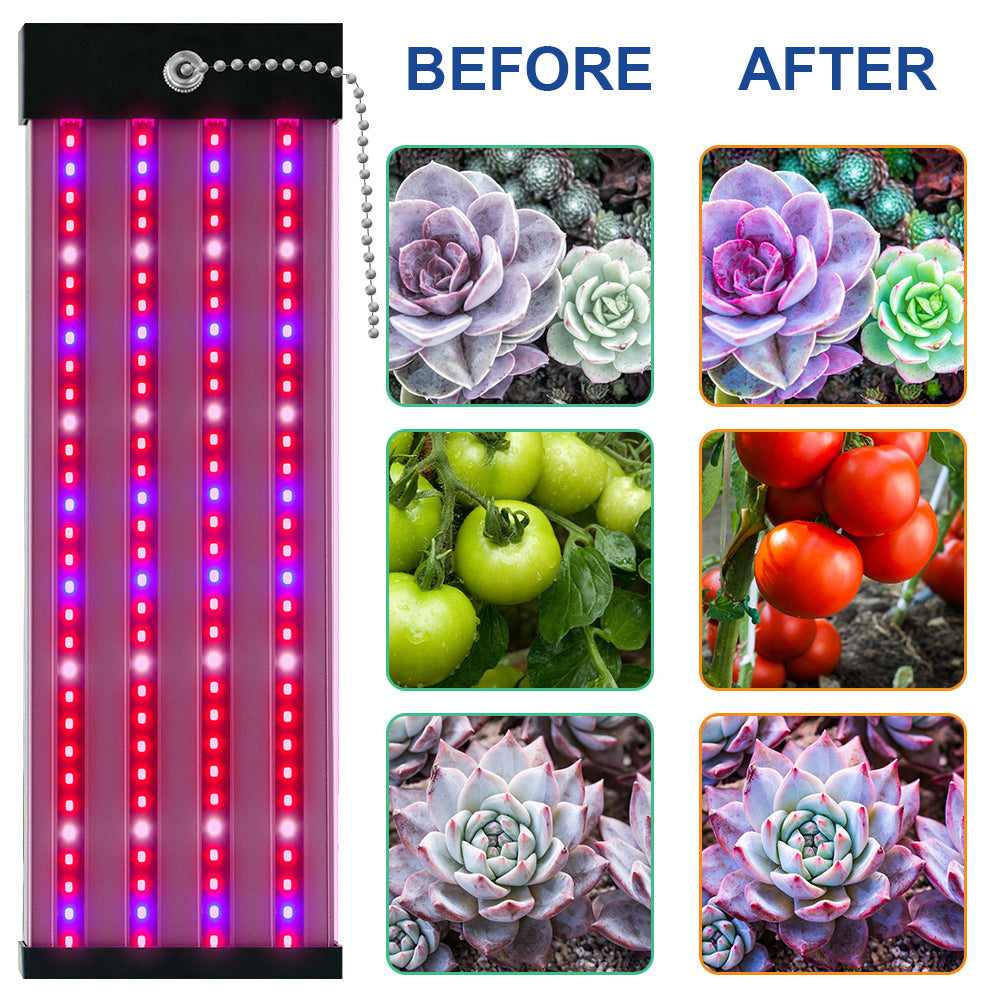 LED Pflanzenlampe mit Vollspektrum-Beleuchtung, energiesparende Technologie, ideal für Zimmerpflanzen, mit Zugschalter.