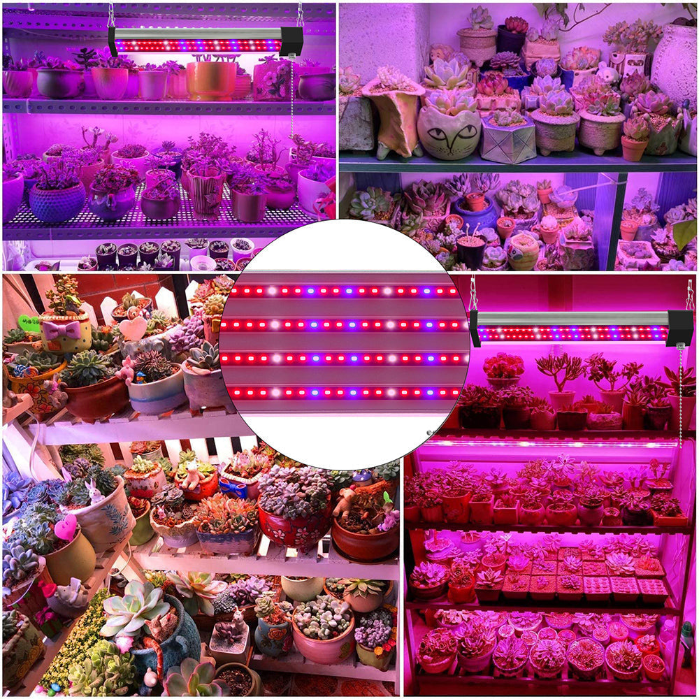 LED Pflanzenlampe mit Vollspektrum-Beleuchtung, energiesparende Technologie, ideal für Zimmerpflanzen, mit Zugschalter.