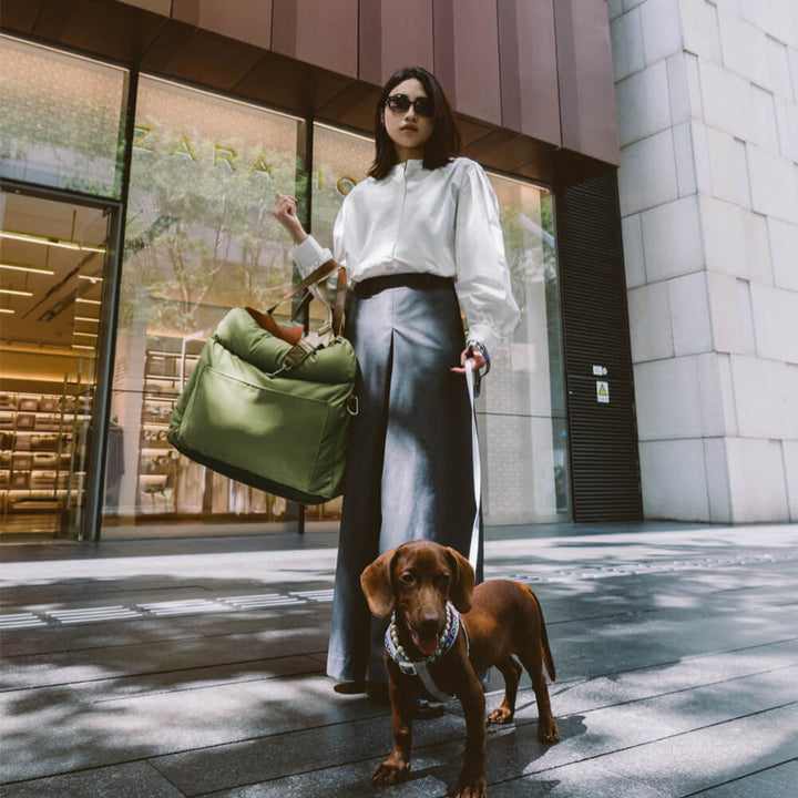 "Luxuriöser Hundeautositz aus Kunstleder, beige, mit weicher Polsterung und Sicherheitsgurt für komfortables Reisen."