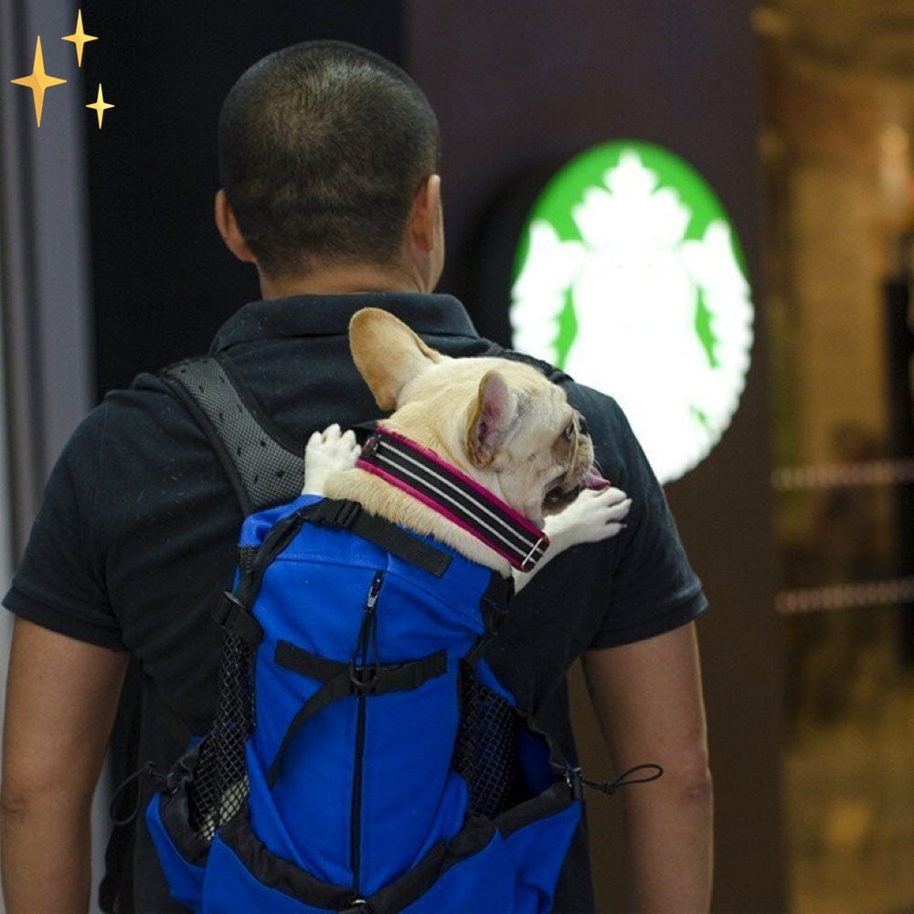 Tragbarer Rucksack für Hunde