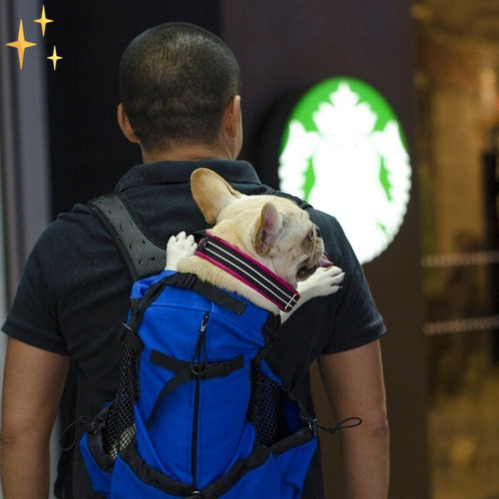 Tragbarer Rucksack für Hunde