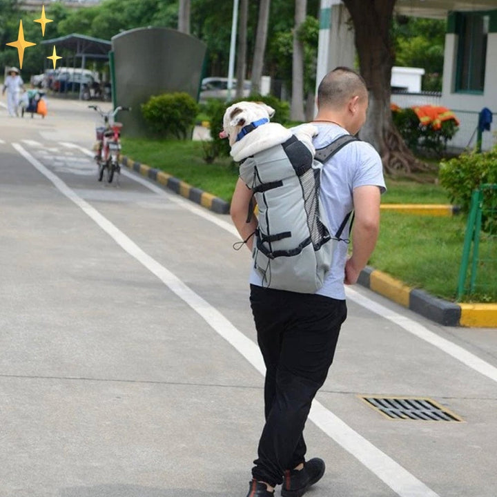 Tragbarer Rucksack für Hunde