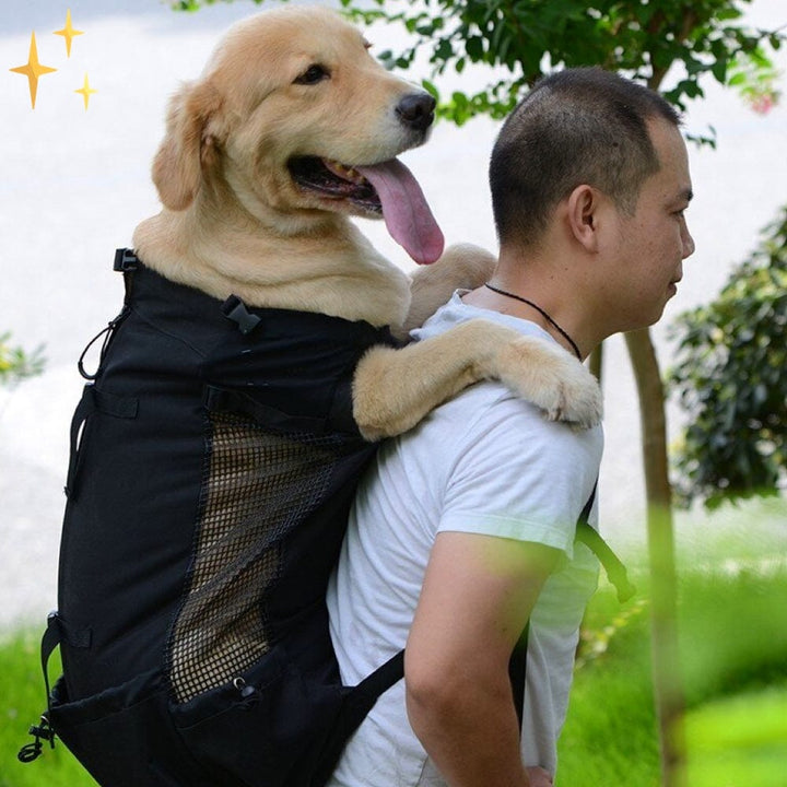 Tragbarer Rucksack für Hunde