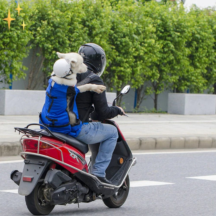 Tragbarer Rucksack für Hunde