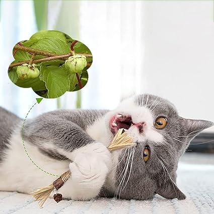 Natürliche Zahnreinigungssticks für Katzen: Grüne, längliche Sticks zur Zahnpflege, reduzieren Plaque und verbessern Mundhygi