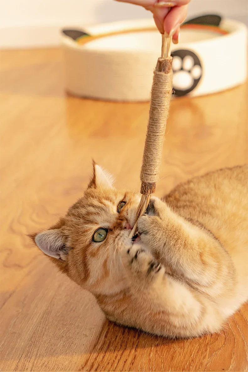 Natürliche Zahnreinigungssticks für Katzen: Grüne, längliche Sticks zur Zahnpflege, reduzieren Plaque und verbessern Mundhygi