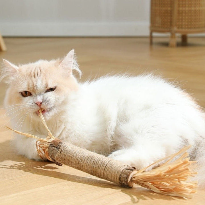 Natürliche Zahnreinigungssticks für Katzen: Grüne, längliche Sticks zur Zahnpflege, reduzieren Plaque und verbessern Mundhygi