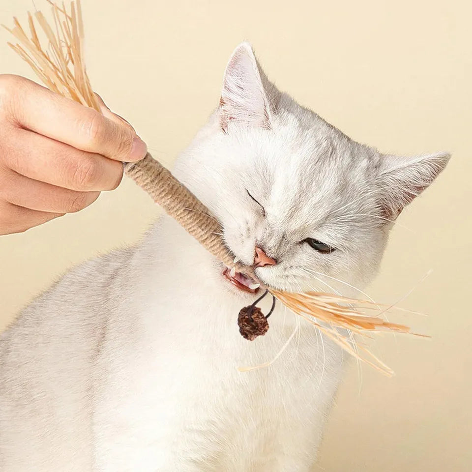 Natürliche Zahnreinigungssticks für Katzen: Grüne, längliche Sticks zur Zahnpflege, reduzieren Plaque und verbessern Mundhygi