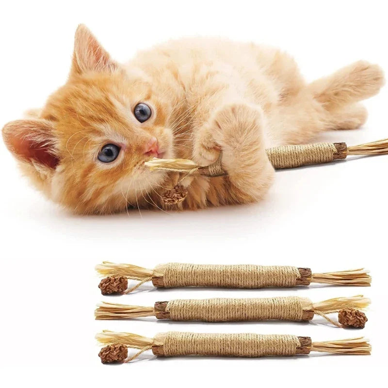 Natürliche Zahnreinigungssticks für Katzen: Grüne, längliche Sticks zur Zahnpflege, reduzieren Plaque und verbessern Mundhygi