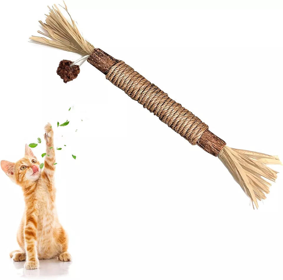 Natürliche Zahnreinigungssticks für Katzen: Grüne, längliche Sticks zur Zahnpflege, reduzieren Plaque und verbessern Mundhygi