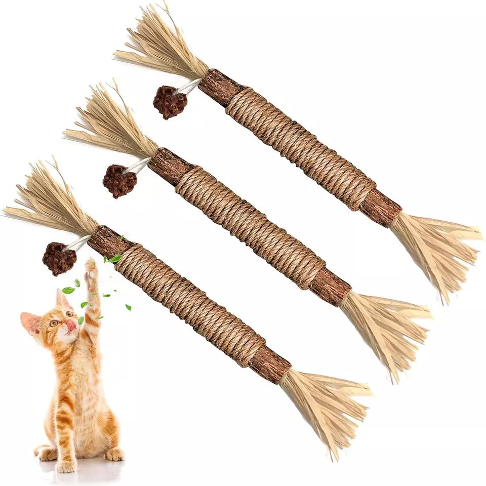 Natürliche Zahnreinigungssticks für Katzen: Grüne, längliche Sticks zur Zahnpflege, reduzieren Plaque und verbessern Mundhygi