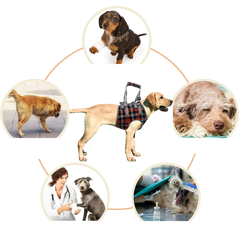 "Orthopädischer Hundegurt mit Verstellbaren Gurten für Unterstützung der Hinterbeine, ergonomisches Design für Stabilität."