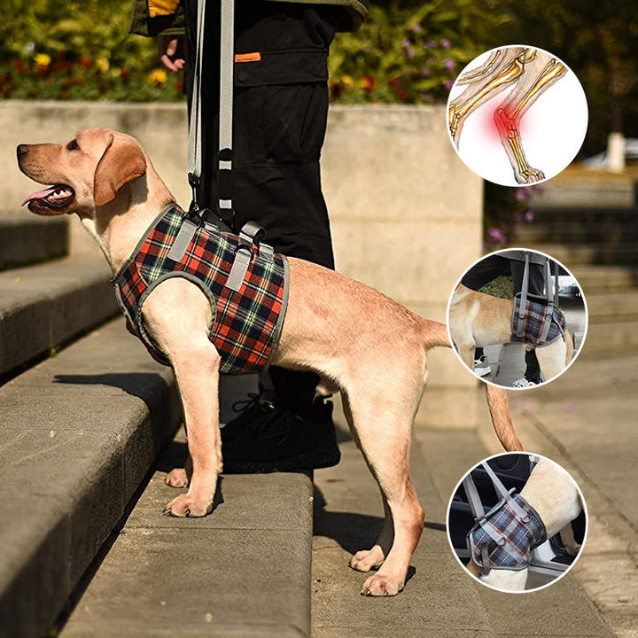 "Orthopädischer Hundegurt mit Verstellbaren Gurten für Unterstützung der Hinterbeine, ergonomisches Design für Stabilität."