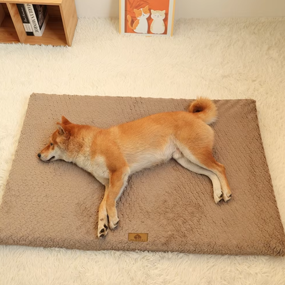 Orthopädisches Hundebett, flauschige Matte, kuscheliger Plüsch, lindert Gelenkschmerzen, perfekt für ältere Haustiere.
